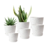 6-Pack Plastic Plant Pots with Self-Watering, Drainage Holes, Tray, White