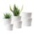 6-Pack Plastic Plant Pots with Self-Watering, Drainage Holes, Tray, White