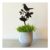 A Blackbird Sang Indoor Pot Stem – Blackbird