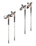 ADVENTURIDGE Foldable Walking Poles