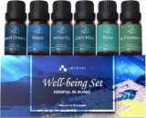 ASAKUKI Essential Oil Blends Gift Set 6x10ml Well-Being Oils for Diffusers, Relaxation & Sleep Calm Mind, Sweet Dreams, Happy, Relax, Air Freshening & Immunity Aromatherapy Kit for Home Use