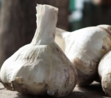 All Onion, Shallot and Garlic Packs – with code