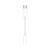 Apple USB-C to 3.5mm Headphone Jack Adapter