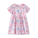 Baby Girls Summer Dress