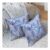 Betadistor 2-Pack Pillow Cases, 18×18 Inches, Blue Leaf