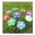 Blue Diamond Daisy Tent Pegs 20: Flower Heads, Case, Cleaner