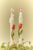 Bunny Taper Candles, Set of 2