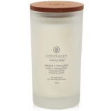 Chesapeake Bay Scented Candle Peace Tranquility (Cashmere Jasmine) Large Tumbler