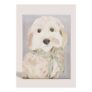 Connie the Cockapoo Wall Art