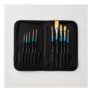 Daler Rowney Aquafine Watercolour Brush with Case Set of 10