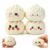 Dumpling Squishy Toys 4-Pack Fidget Bun Squishies