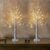 Eambrite Set of 2 Small Birch Twig Tree Lights Photo Display Tree with 24 Warm White LEDs Battery Operated Tabletop Decoration for Xmas Home Party Wedding (60cm/2ft)