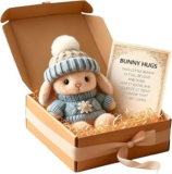 Easter Bunny,Easter Gifts,4 Colors Mini Bunny Hug Cute Easters Gift,Minis Rabbits in Box With Card,Handmade Plush Pocket Hug Rabbit Doll,for Lovers Kids Family Friend(Blue)