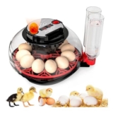 Egg Incubators for Hatching Eggs