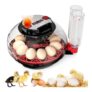 Egg Incubators for Hatching Eggs