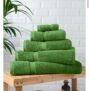English Ivy Super-Soft Cotton Towel & Bath Mat Range e.g Face Cloth 75p – Bath Towel £4.50 Free C&C