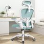 FelixKing Ergonomic Office Chair with Adjustable High Back, Breathable Mesh, Lumbar Support, Flip-up Armrests, Executive Rolling Swivel Comfy Task Computer Chair for Home Office(Light Blue)