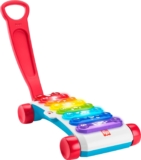 Fisher-Price Giant Light-Up Xylophone (QE)