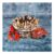 Fruits Der Mer (Double)