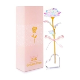 Galaxy Colourful Rose