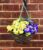 Garden XP Artificial Flower With Hanging Basket (With Code) – Free C&C