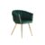 Green Life Interiors Roma Knot Velvet Armchair with Gold Legs