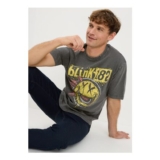 Grey Blink 182 Band T-Shirt