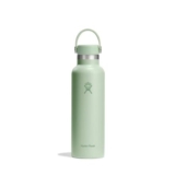 Hydro Flask Standard Mouth Water Bottle, 21 Oz, Aloe