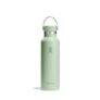 Hydro Flask Standard Mouth Water Bottle, 21 Oz, Aloe