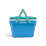 Igloo 23L (25 US QT) Picnic Basket Cooler At Checkout Free Delivery