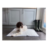 Ivy & Duke X CoolSoft Pet Cooling Mat
