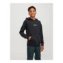 Jack and Jones Jorvester Hoodie