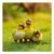 Jardin Polyresin Animal – Duck
