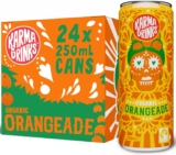 Karma Drinks Orangeade – 24 x 250ml Cans – Natural Fizzy Soft Drinks, Fairtrade, Organic & Vegan Fizzy