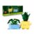 LEGO Botanicals 10349 Happy Plants Set
