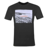 LEVIS Mens Picture Logo T-Shirt (Size Small Only)