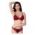 Lace Bra and Knickers Set