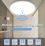 Led Ceiling Lamp With Motion Sensor 15W – Zhongshan CY Lighting Store