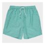 Mens Geometric Swim Shorts