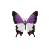 Metal Butterfly Wall Art