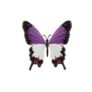 Metal Butterfly Wall Art