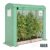 Mini Greenhouse,