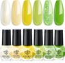 Modelones Nail Polish Set 6 Colors Yello Green Quick Dry Nail Varnish Set Manicure Diy Home Salon For Women