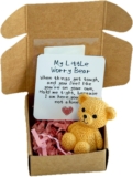My Little Worry Bear Hug in a Box – Handmade Mini Positive Resin Teddy with Encouragement Card & Red Heart, Cute Pocket Hug Emotional Support Gift for Graduation Birthday Kids Adults Women (Style 2)
