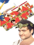 National Lampoons Animal House HD – To Buy Prime Video