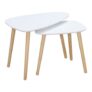 Nesting Coffee Table, Set of 2