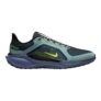 Nike Mens Pegasus 41 GORE-TEX Running Shoes