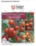Nurserymans Choice Tomatoes 5 plants W/Code
