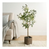 OHS Large Green Olive Tree With Olives In Wicker Style Basket – 110cm Tall