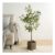OHS Large Green Olive Tree With Olives In Wicker Style Basket – 110cm Tall